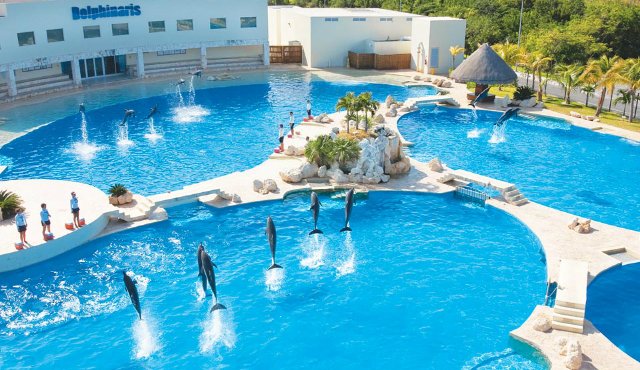 Onde nadar com golfinhos em Cancún | México