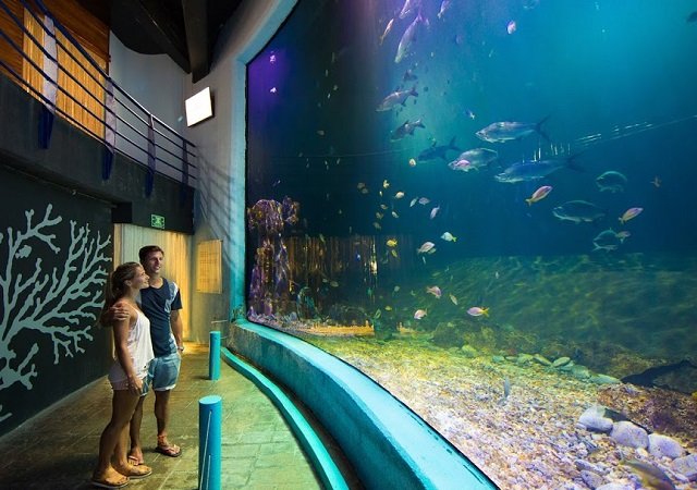 Interactive Aquarium em Cancún no México