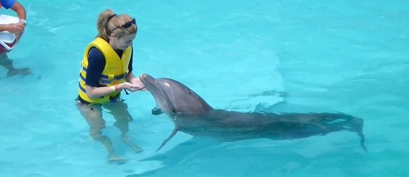 Nadar com golfinhos no Interactive Aquarium em Cancún